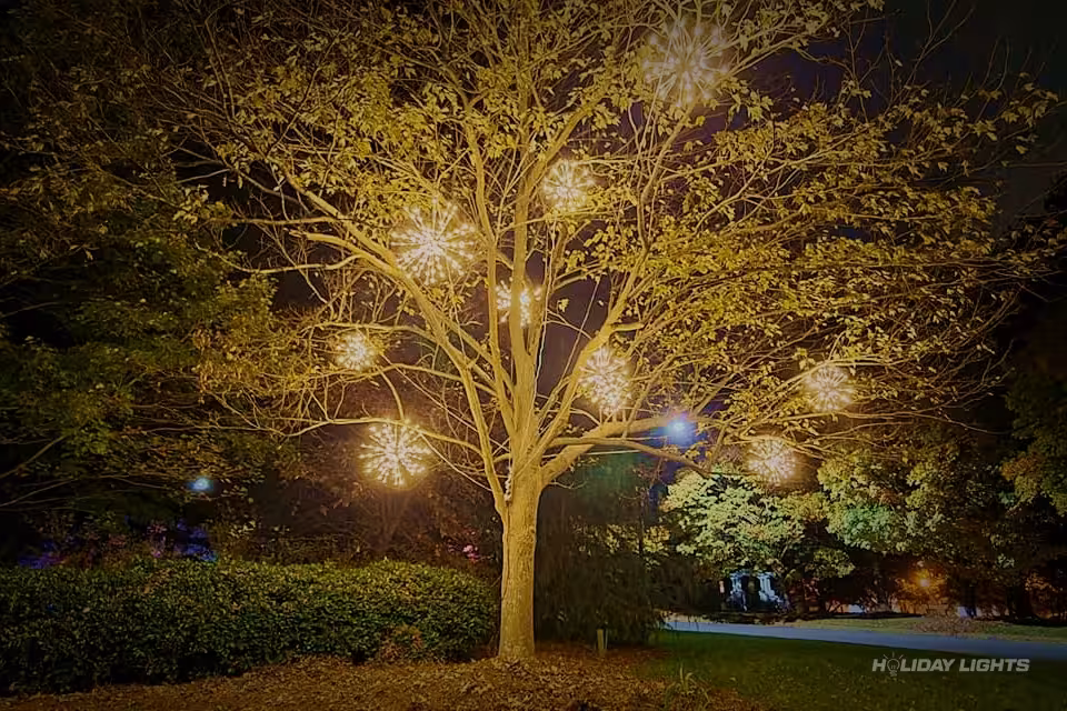 Spritzers Decoration Tree Holiday - Trees Christmas lights installation in Rhode Island